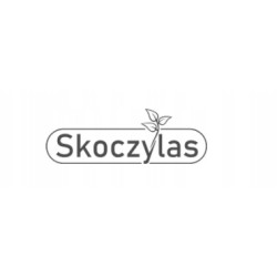 Skoczylas MAGNEZ 4 FORMY Szpinak Jarmuż Wit B6